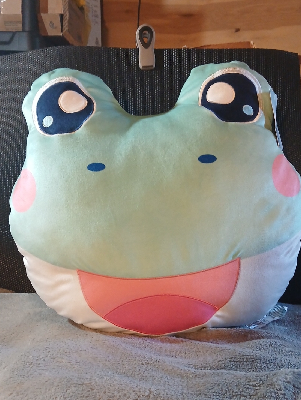 NWT Squishy Pillow
